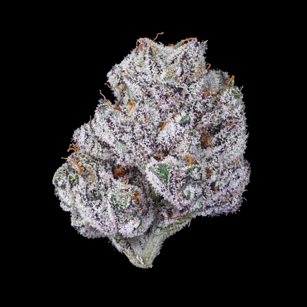 Lemon Cherry Gelato Reserve